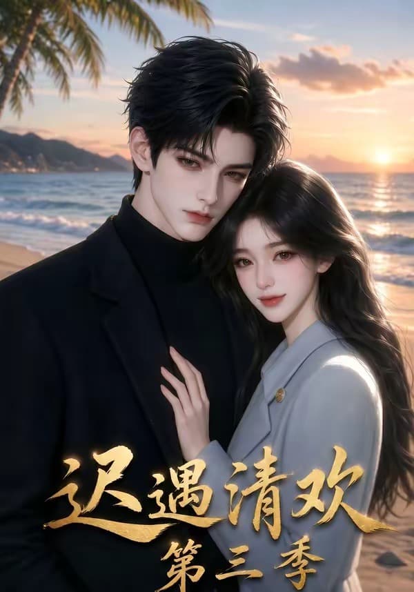 迟遇清欢第三季海报
