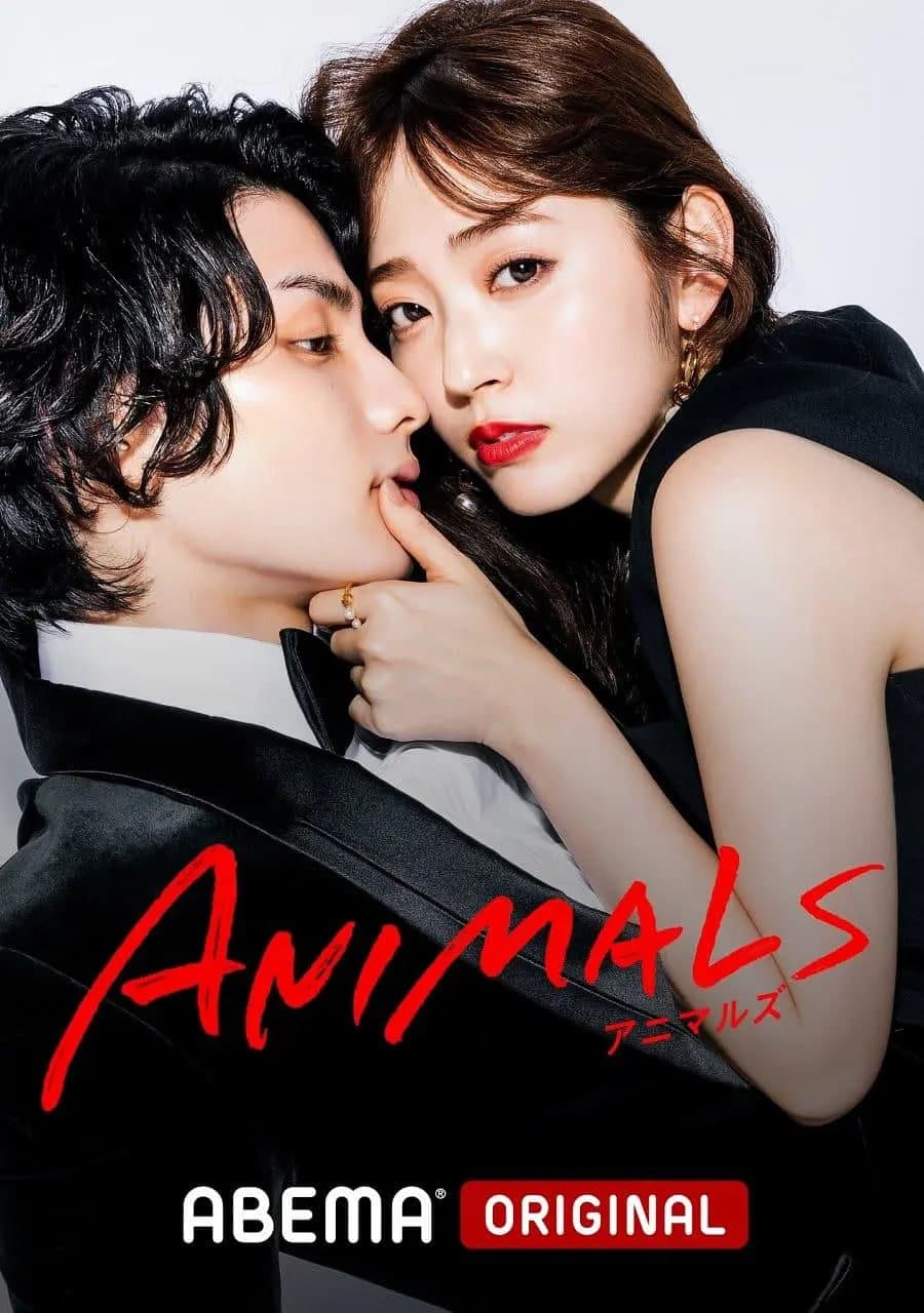 动物海报