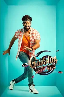 我是葛爷海报