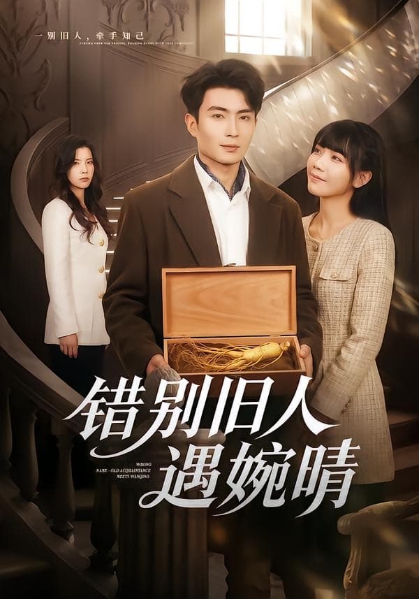 错别旧人遇婉晴海报