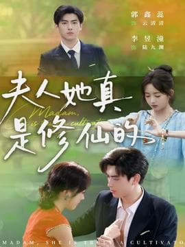 夫人她真是修仙的海报