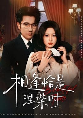 相逢恰是涅槃时海报