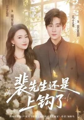 裴先生还是上钩了海报