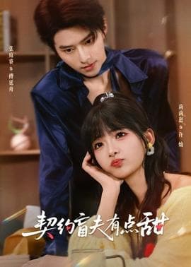 契约盲夫有点甜海报