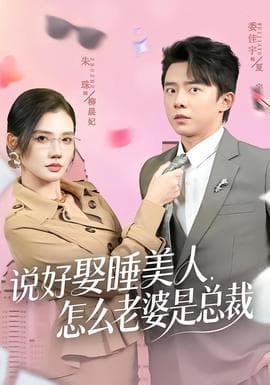 说好娶睡美人，怎么老婆是总裁海报