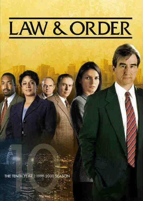 法律与秩序第十季海报